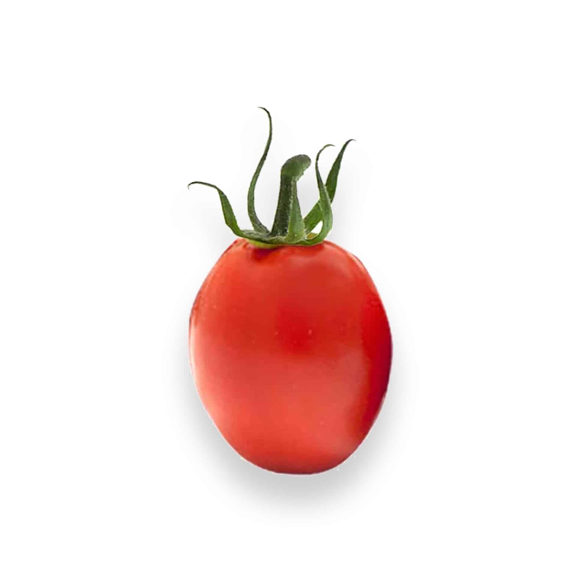 Pomodoro Mini Oblungo Rosso